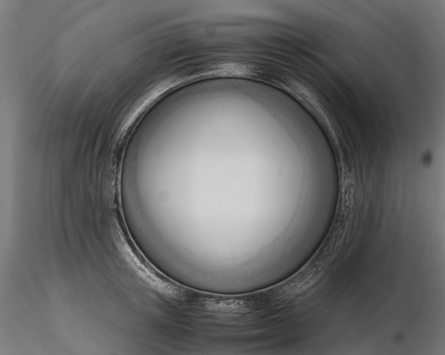X0000116330851200912151303
