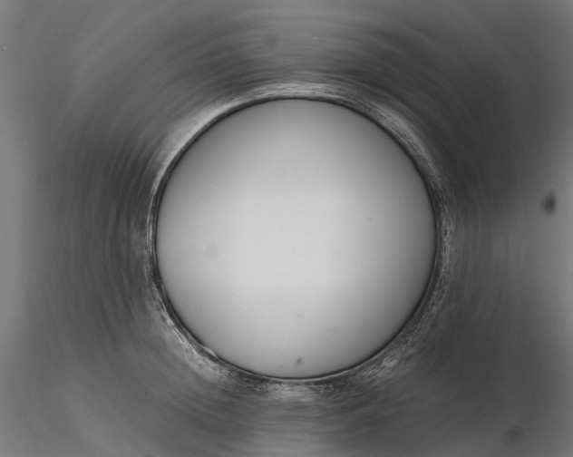 X0000116330852200912151303