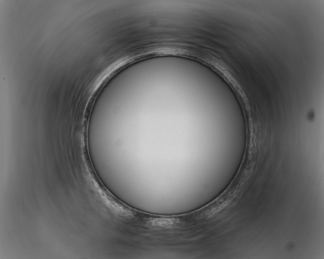 X0000116330853200912151303
