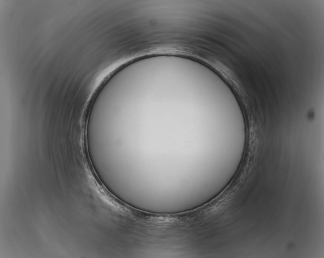 X0000116330854200912151304