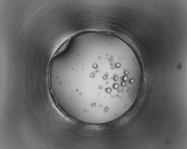 X0000116330855200912151304