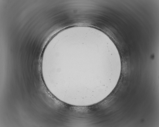 X0000116330856200912151304