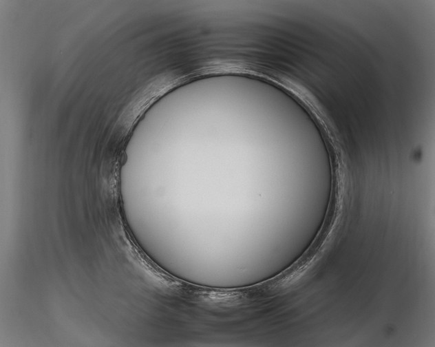 X0000116330857200912151304