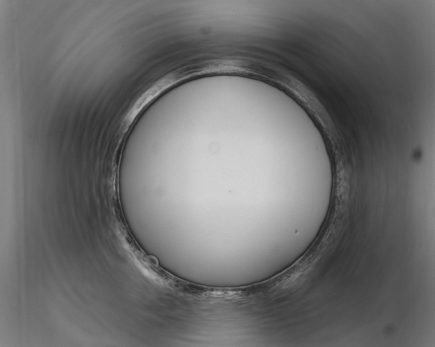 X0000116330858200912151304
