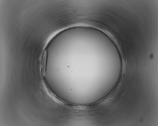 X0000116330862200912151304