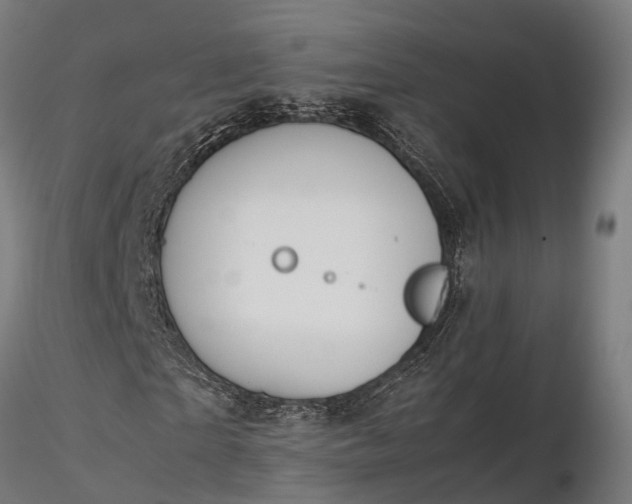X0000116330865200912151303