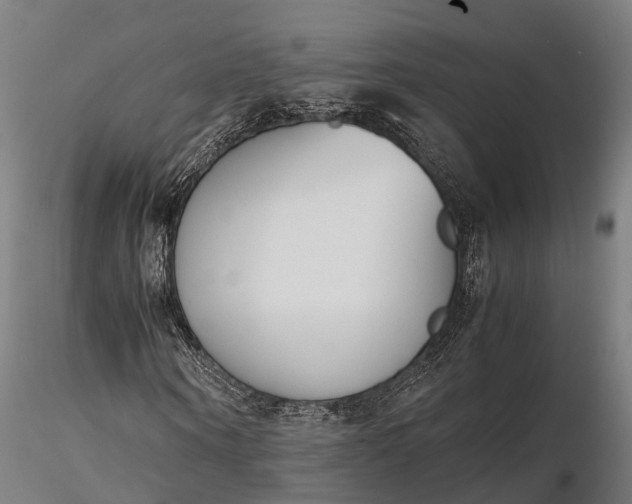 X0000116330866200912151303