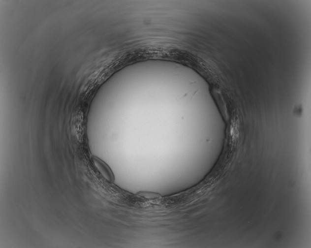 X0000116330867200912151303