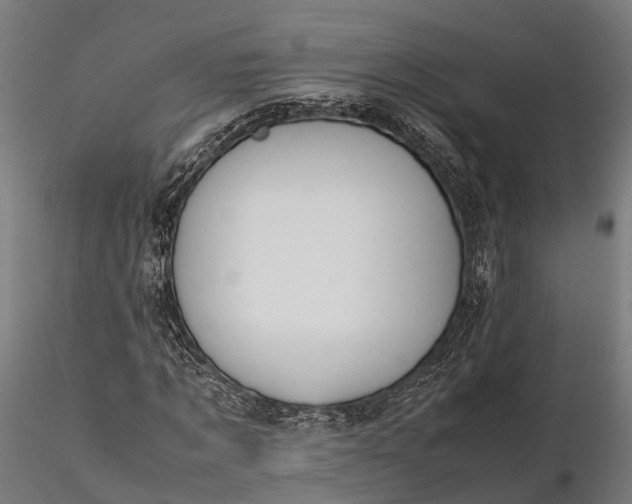X0000116330869200912151303