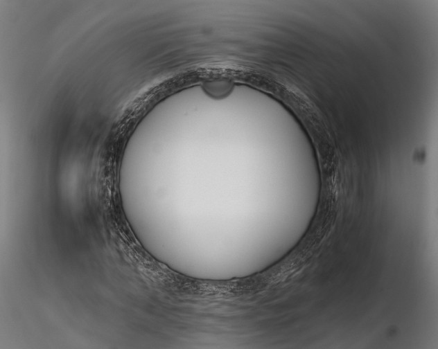 X0000116330870200912151303