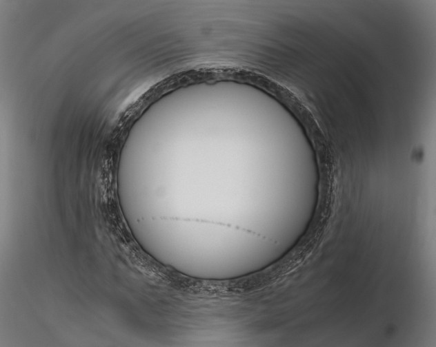 X0000116330871200912151303