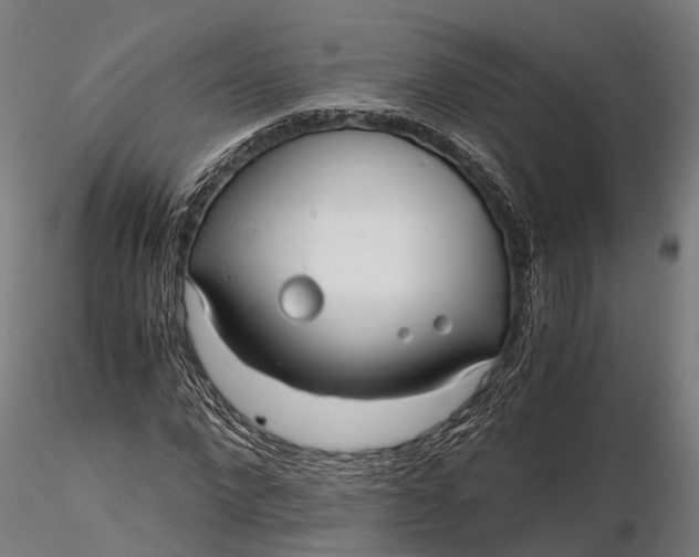 X0000116330872200912151303