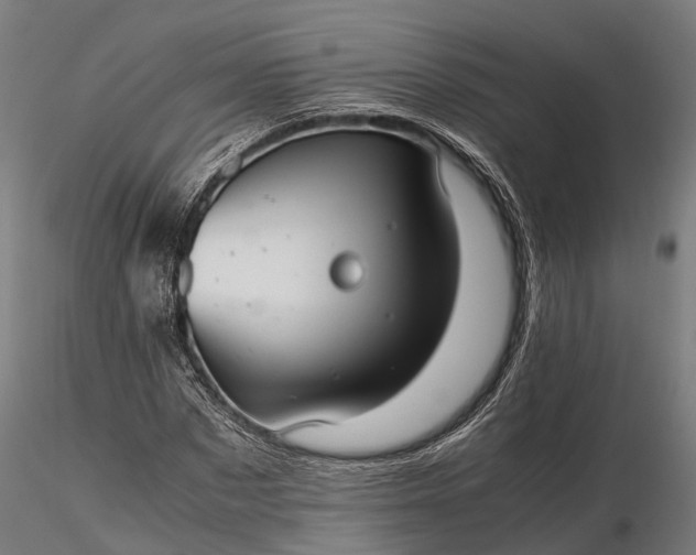 X0000116330873200912151303