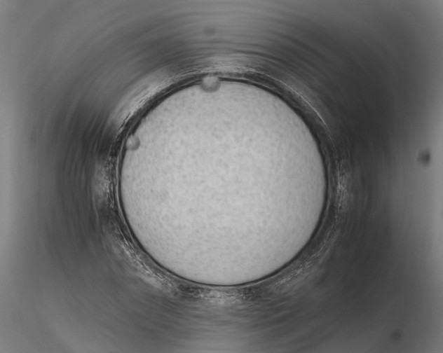 X0000116330874200912151303