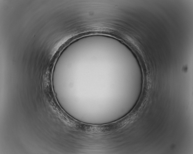 X0000116330875200912151303