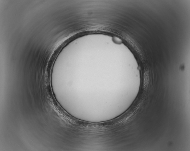 X0000116330876200912151303