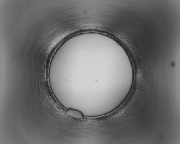 X0000116330877200912151303