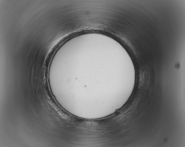 X0000116330878200912151303