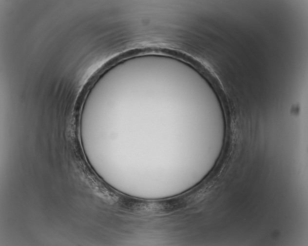 X0000116330879200912151303