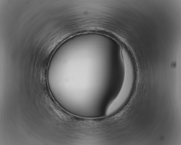 X0000116330881200912151303