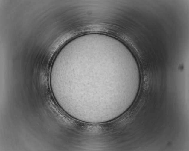 X0000116330882200912151303