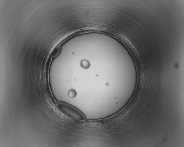 X0000116330884200912151303