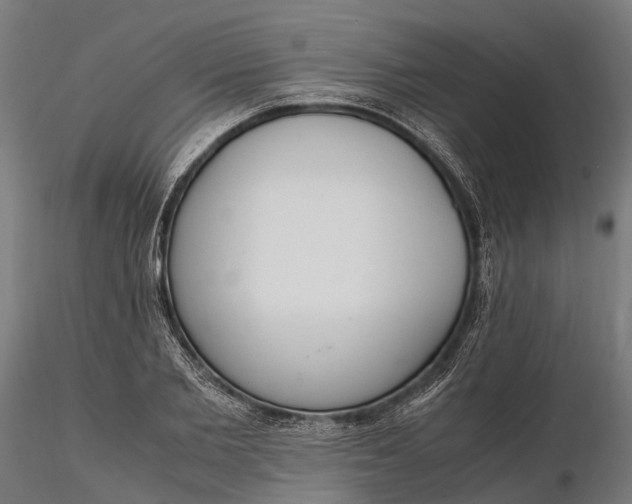 X0000116330885200912151303