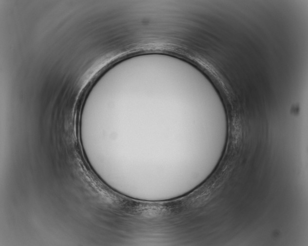 X0000116330886200912151303