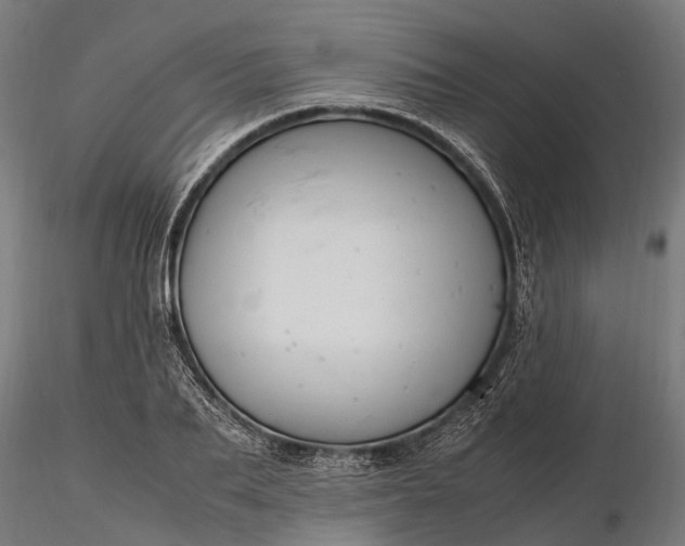 X0000116330887200912151303