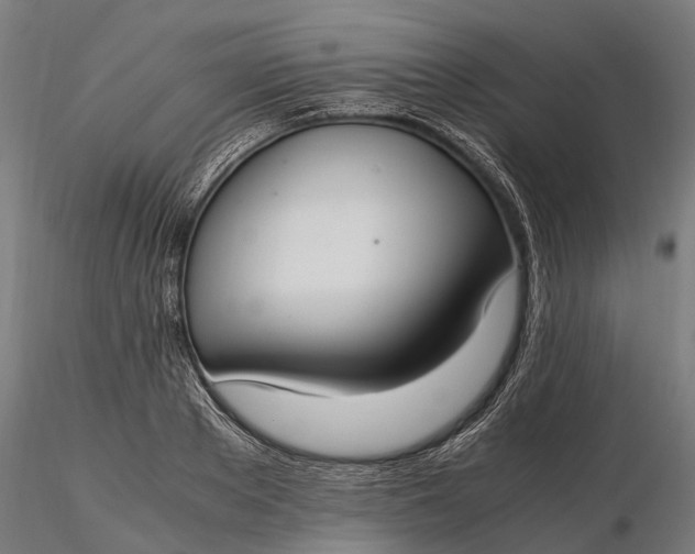X0000116330889200912151303