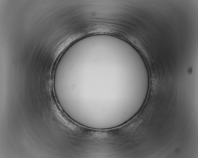 X0000116330890200912151303