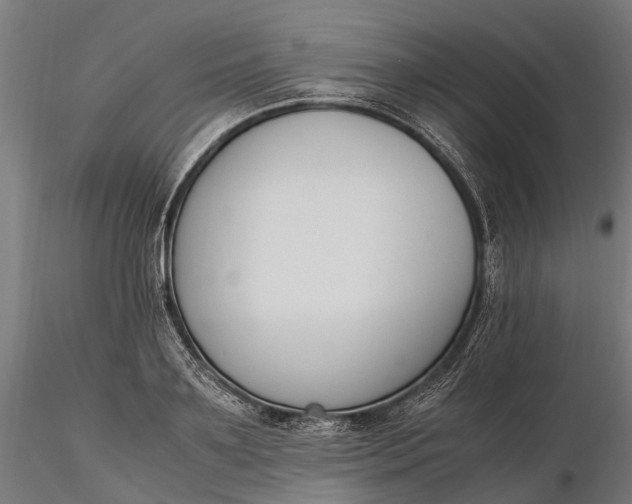 X0000116330891200912151303