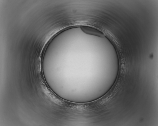 X0000116330892200912151303