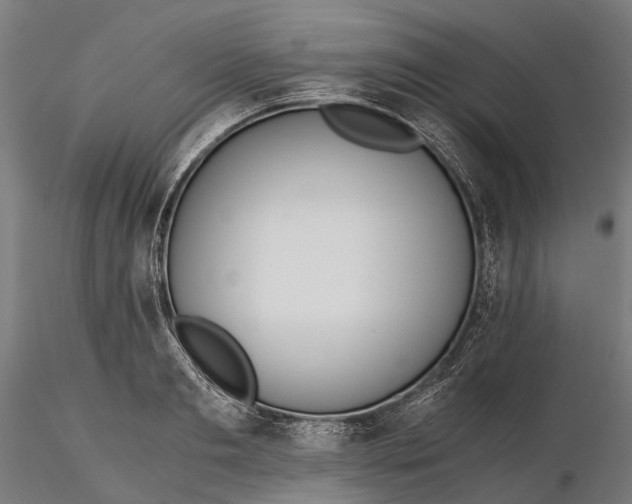 X0000116330893200912151303