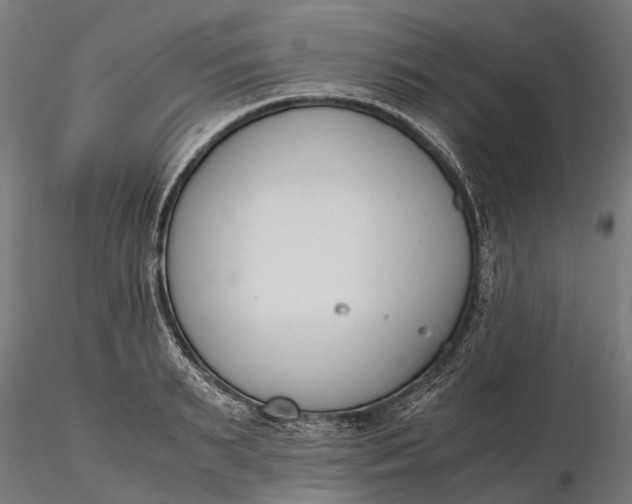 X0000116330895200912151303