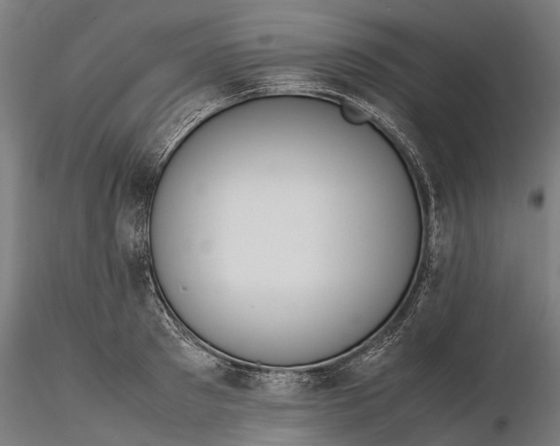 X0000116330897200912151303