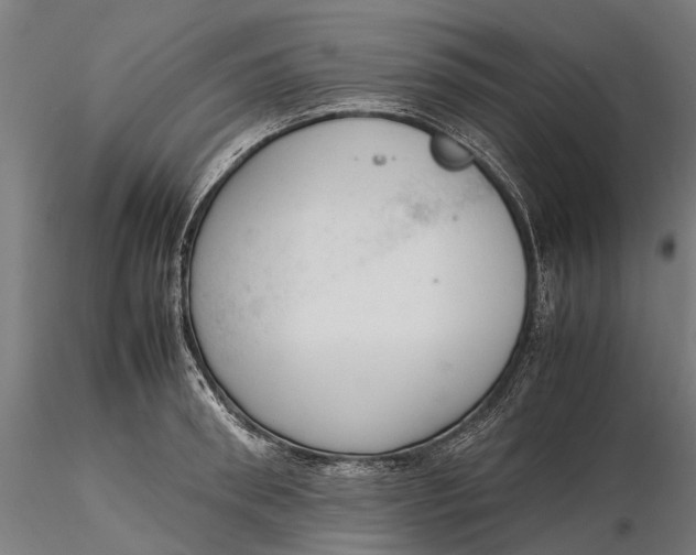 X0000116330898200912151303