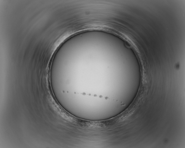 X0000116330899200912151303