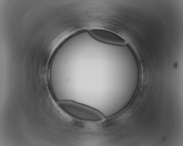 X0000116330901200912151302