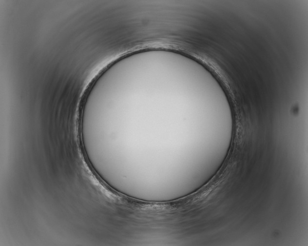 X0000116330902200912151302