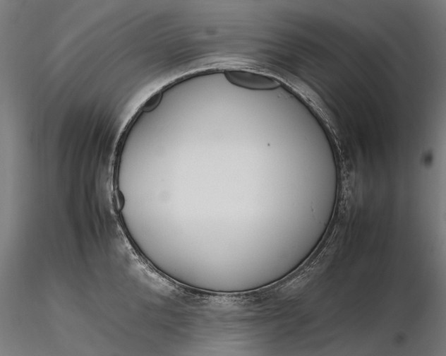 X0000116330904200912151302