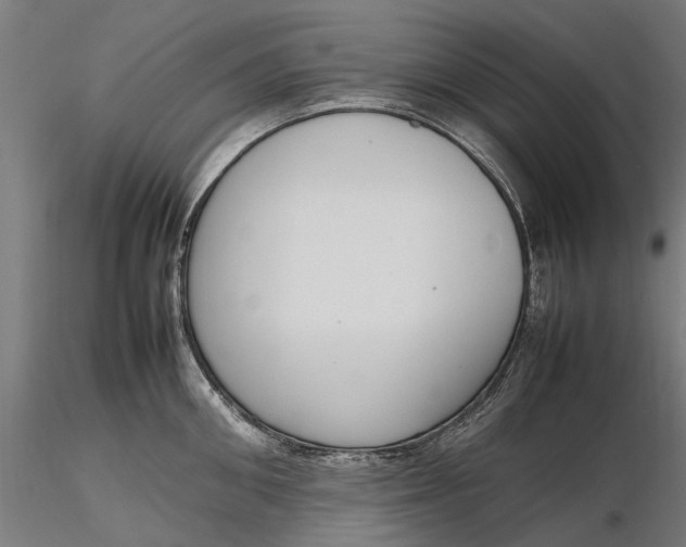 X0000116330906200912151302