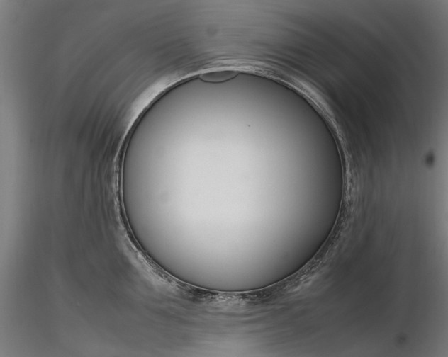 X0000116330907200912151302