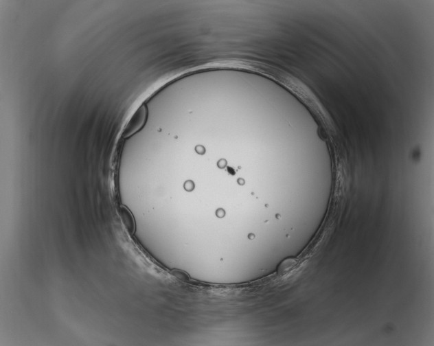 X0000116330908200912151302