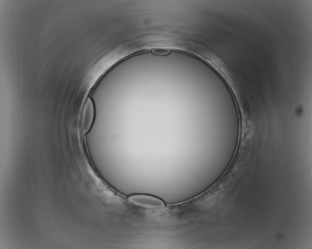X0000116330909200912151302