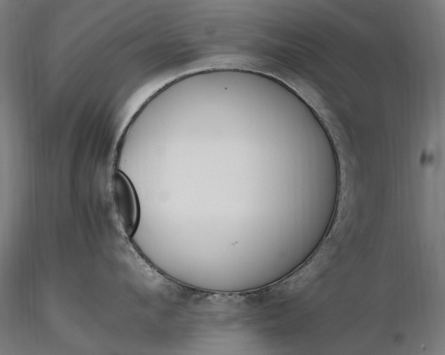 X0000116330912200912151302