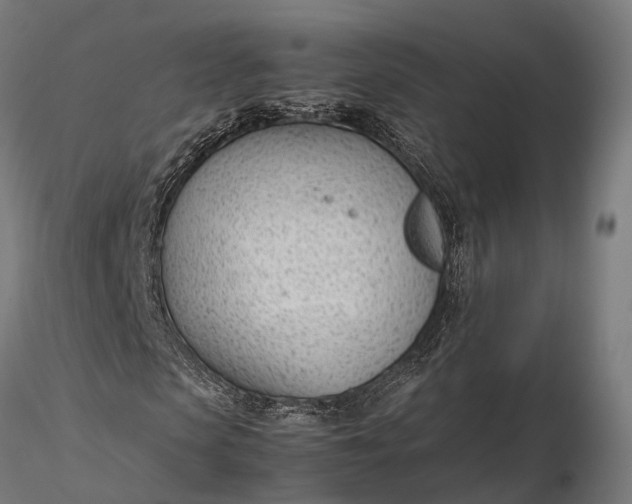X0000116330913200912151302