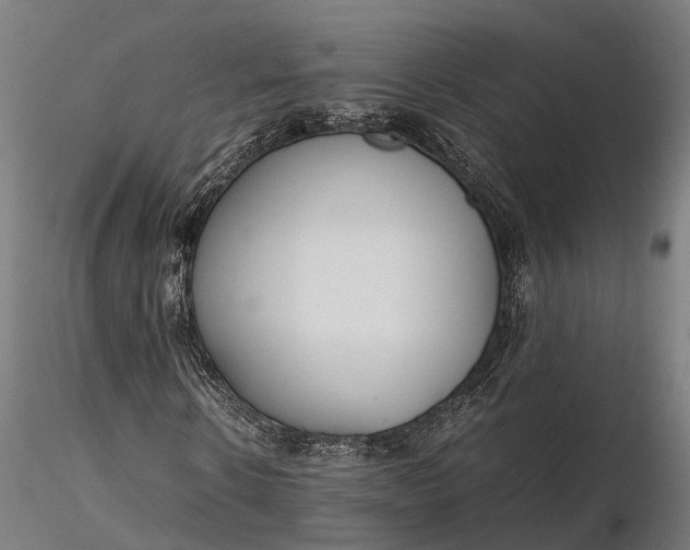 X0000116330914200912151302