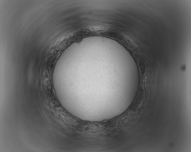X0000116330917200912151302