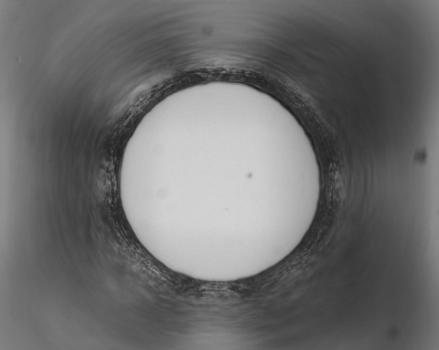 X0000116330918200912151302